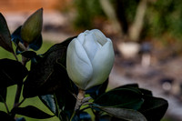 untitled-11