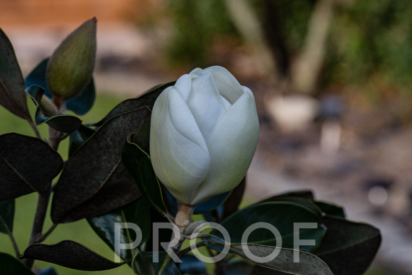 untitled-11