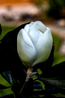 untitled-7