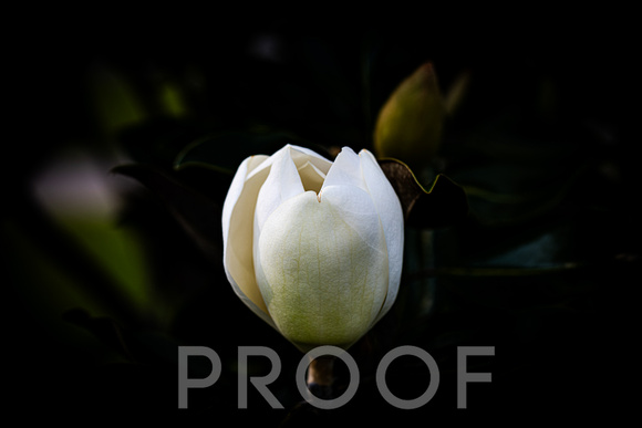 untitled-2