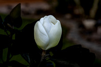 untitled-9