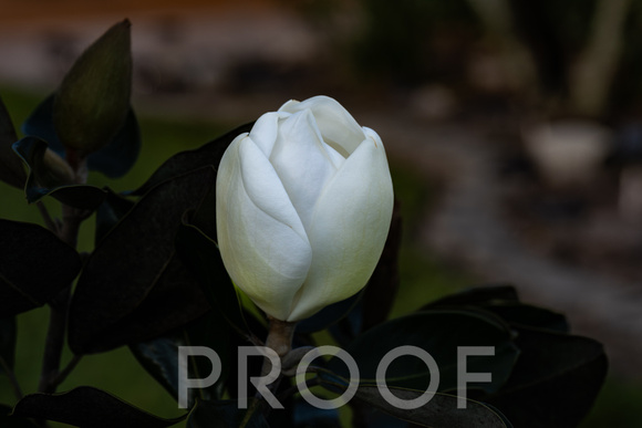 untitled-9